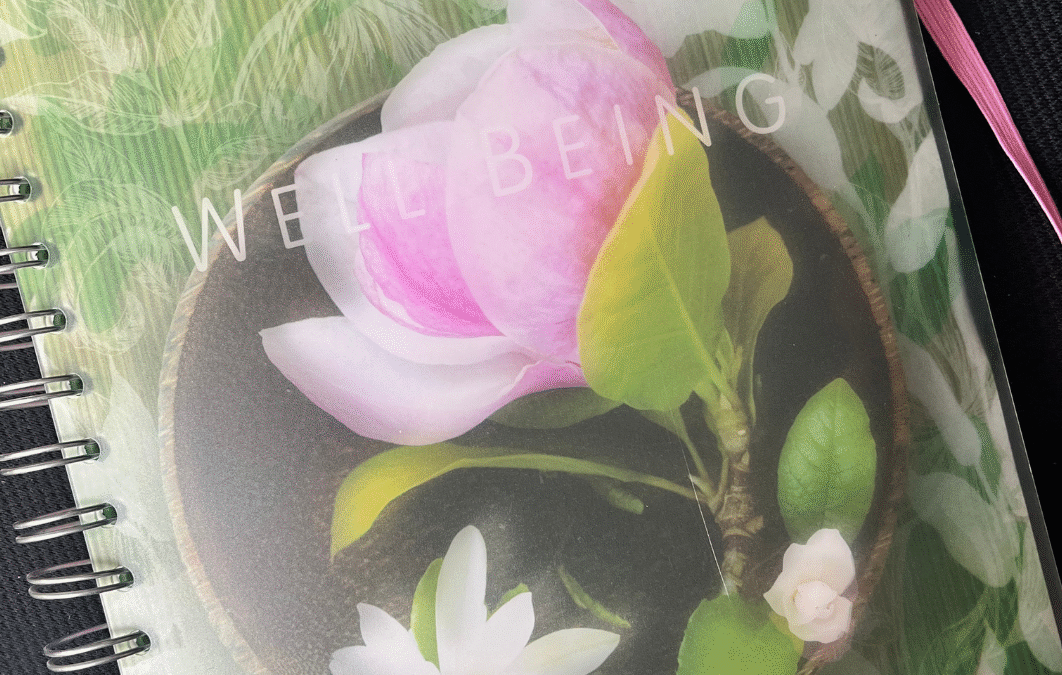 The Great Wellbeing Con