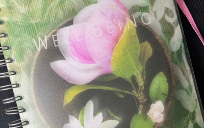 The Great Wellbeing Con